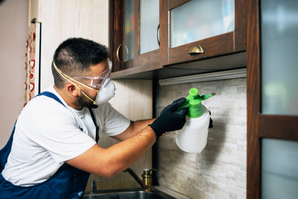 Best Affordable Pest Control Services  in Huron, SD
