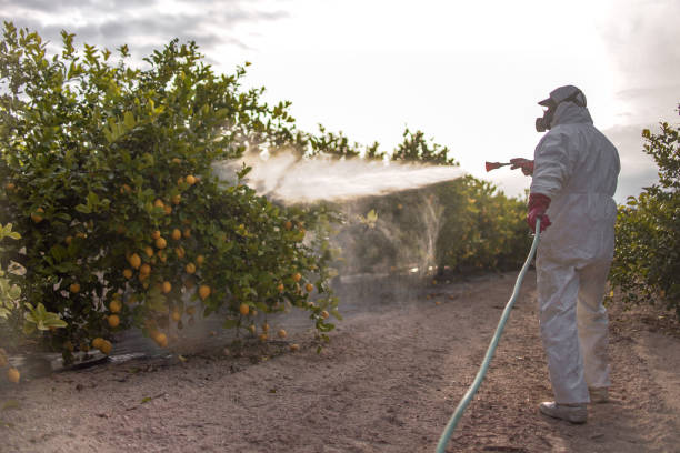 Best Pest Prevention Services  in Huron, SD