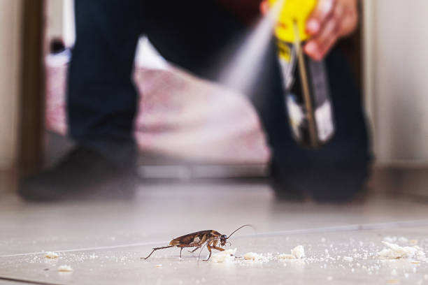 Best Affordable Pest Control Services  in Huron, SD