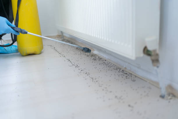 Best Best Pest Control Companies  in Huron, SD