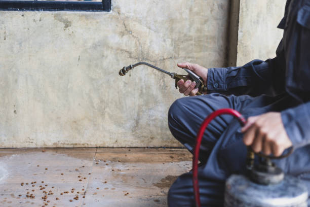 Best Wasp Removal Services  in Huron, SD